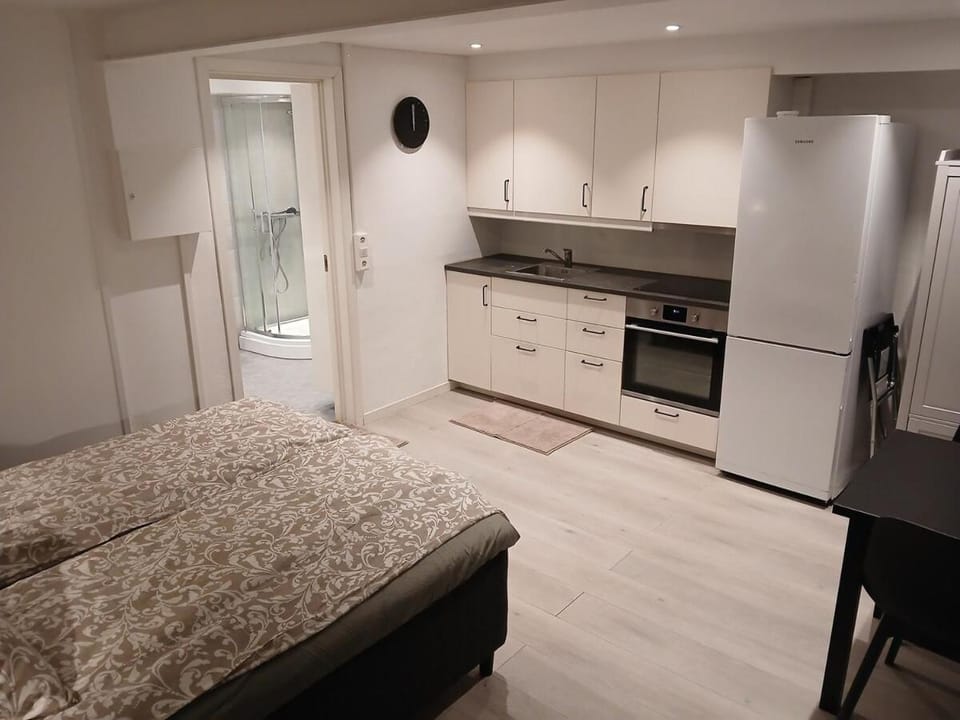 studio apartment 24 sqm Apartment in Trondheim
