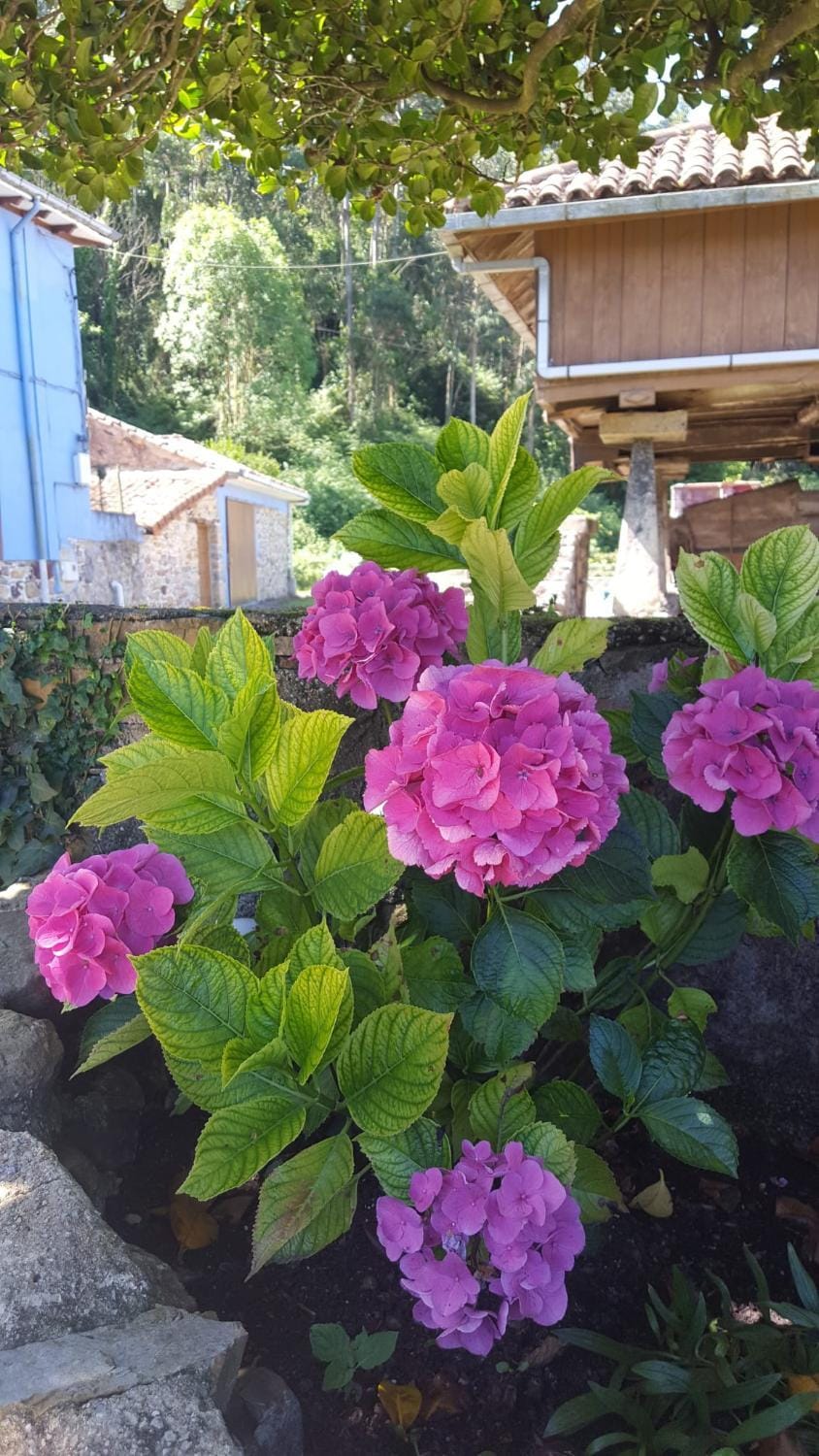 Apartamentos rurales Fuentefría Apartment in Asturias