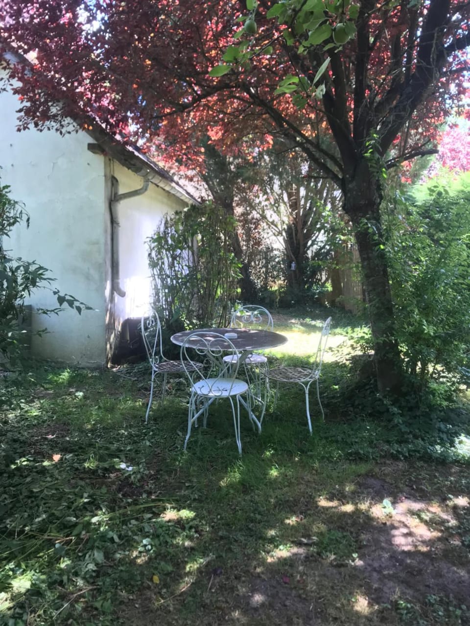 Tiny House Bed and Breakfast in Île-de-France