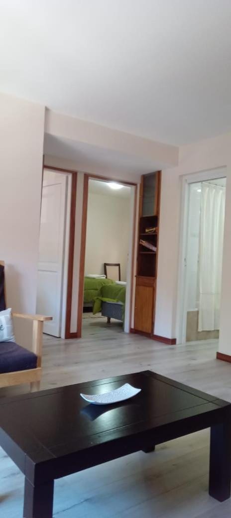Departamentos del Centro Apartment in San Martín de los Andes