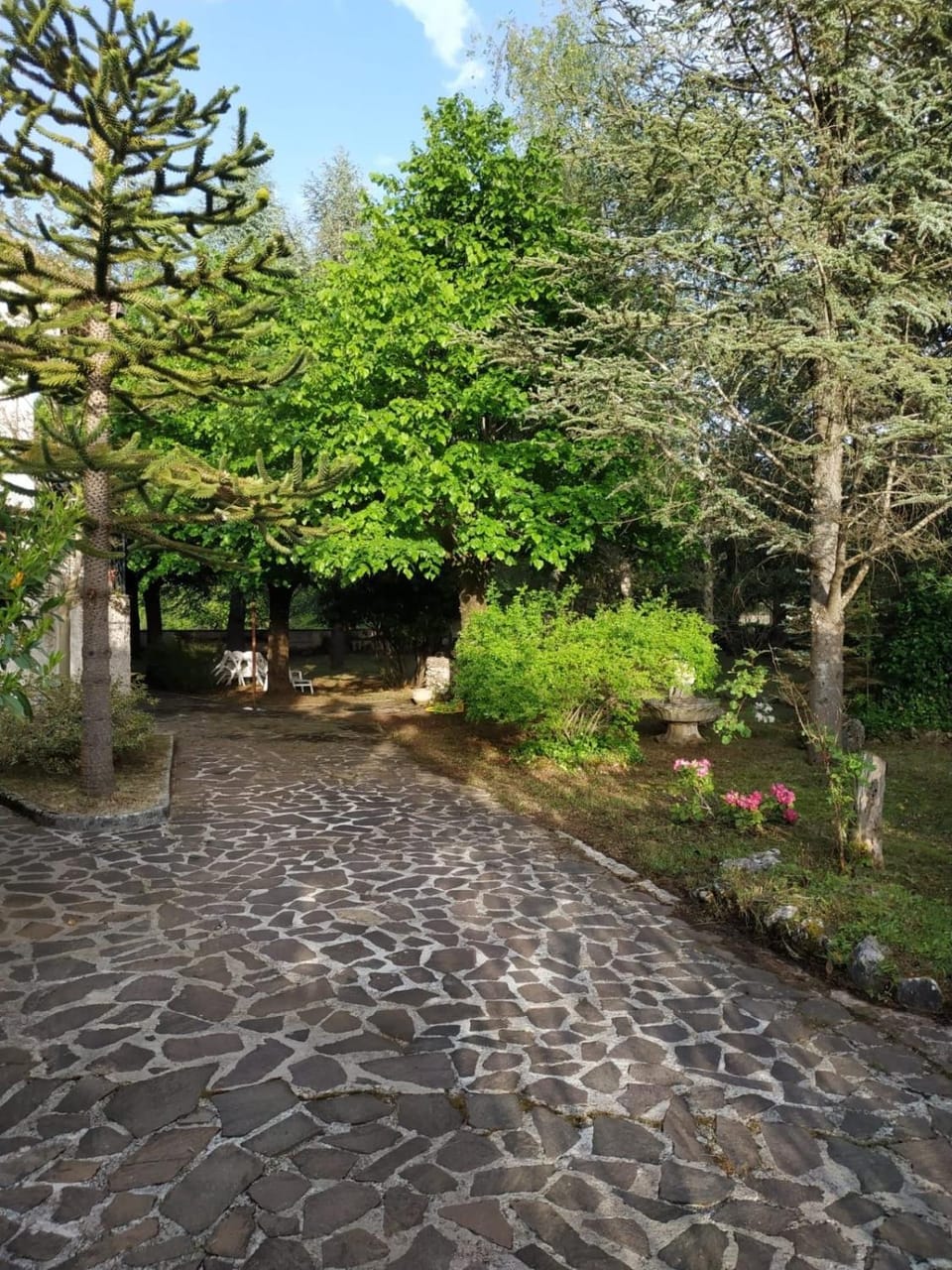 Garden view