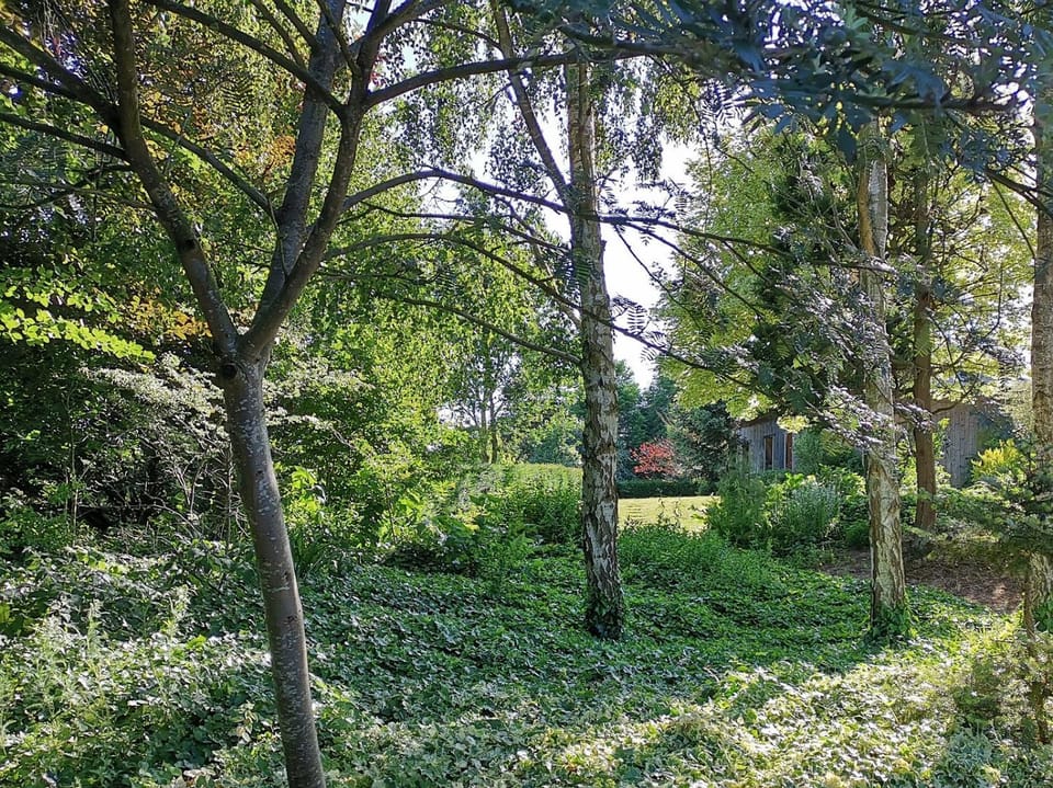 Property building, Natural landscape, Summer, Garden, Garden view