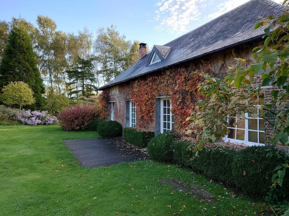Property building, Patio, Garden, Autumn, Garden view