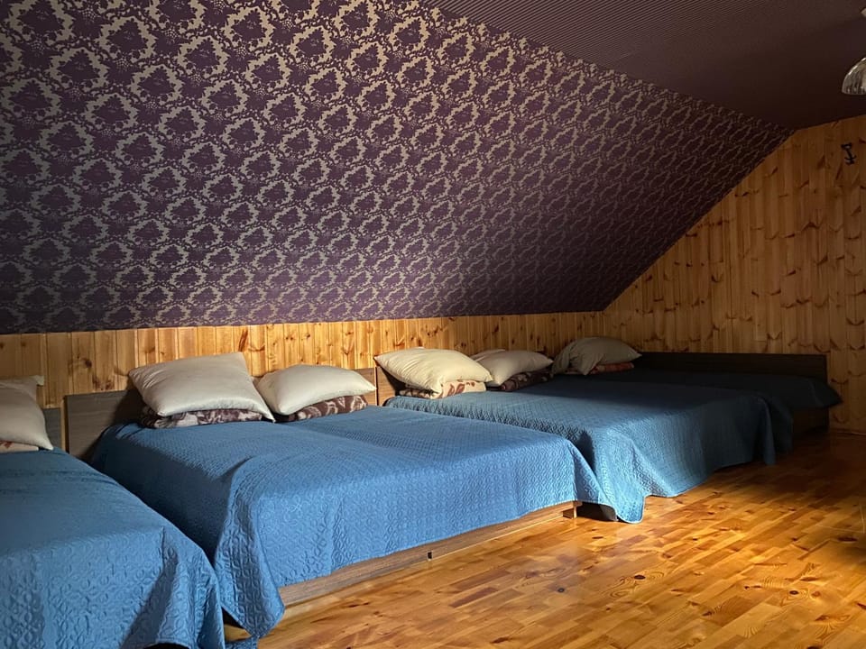 Dzūkų sodžius Apartment in Lithuania