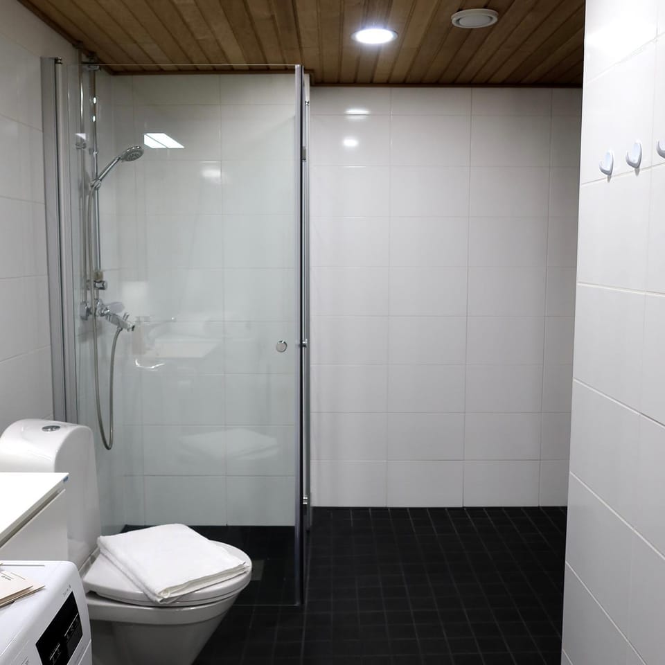 Shower, Sauna, Sauna, Bathroom, towels