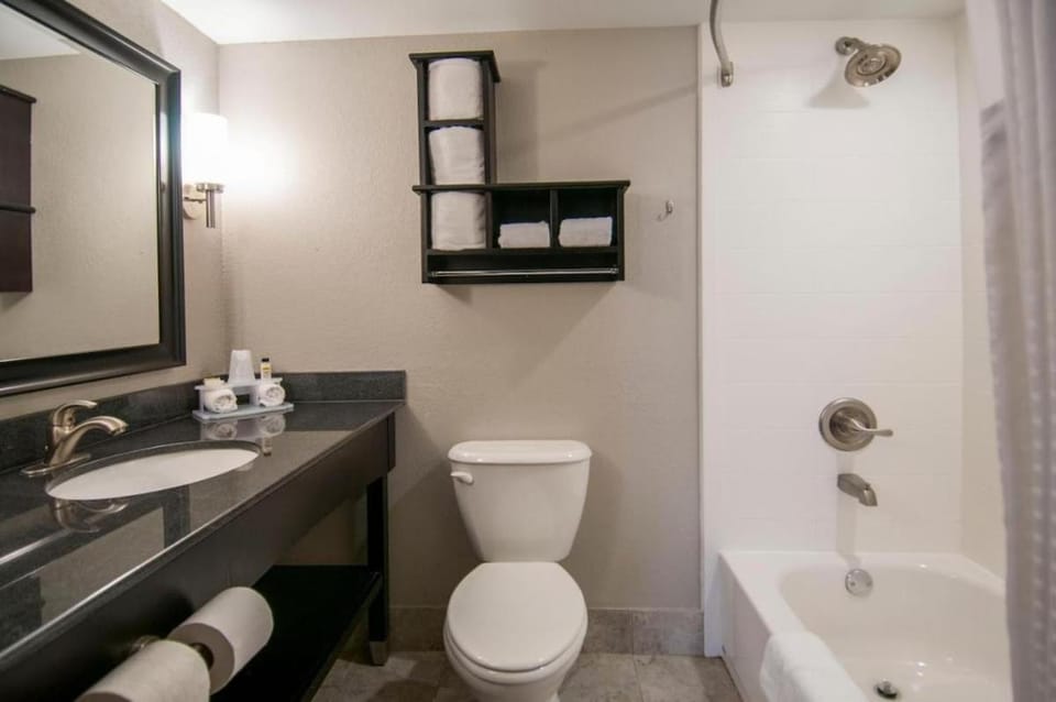 Shower, Toilet, Bathroom, Bath