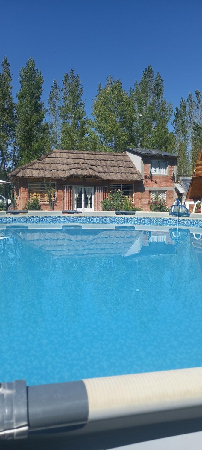 Day, Pool view, Swimming pool