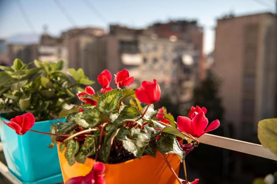 Spring, Day, View (from property/room), City view