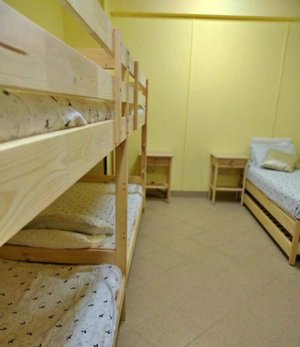 Bed, Photo of the whole room, Bedroom, bunk bed