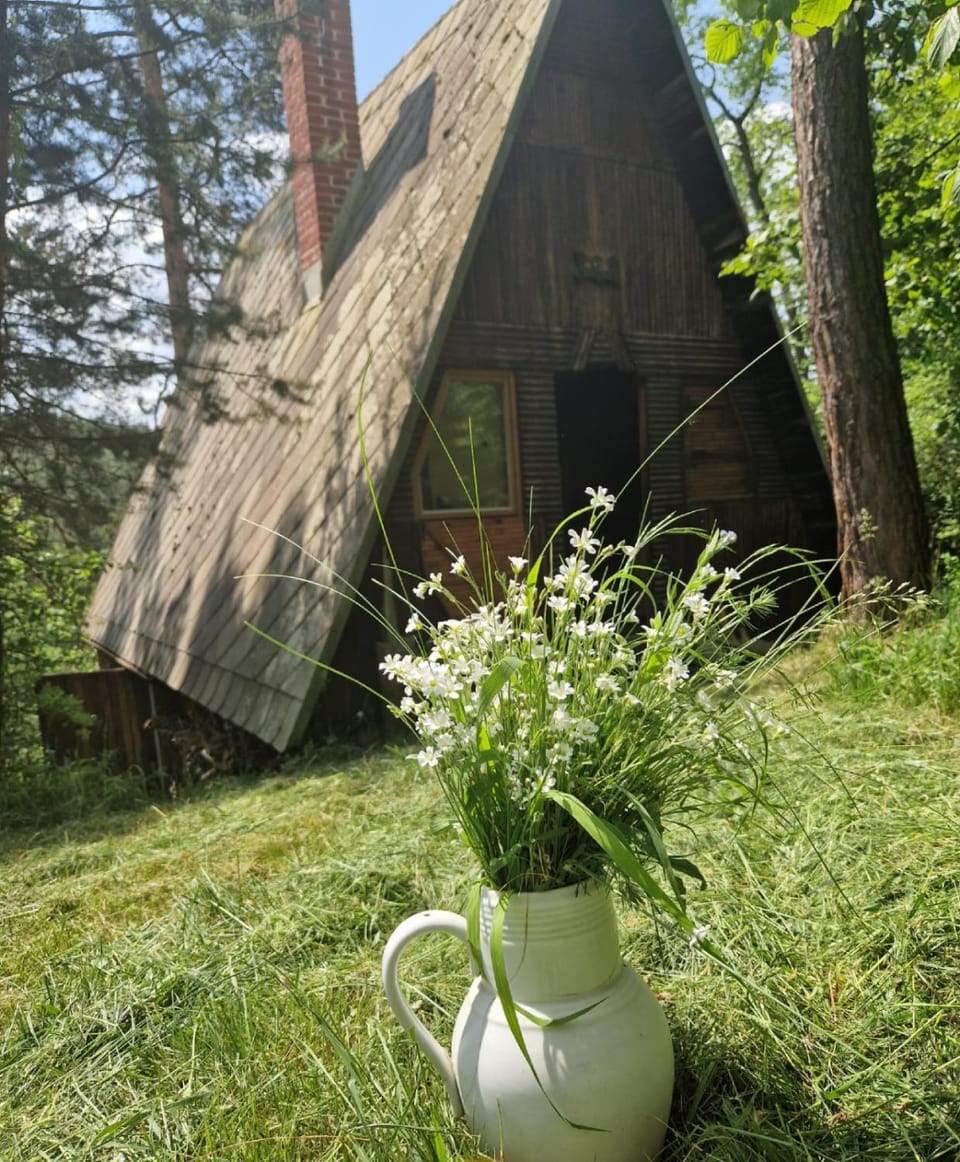 Property building, Spring, Garden, Garden view