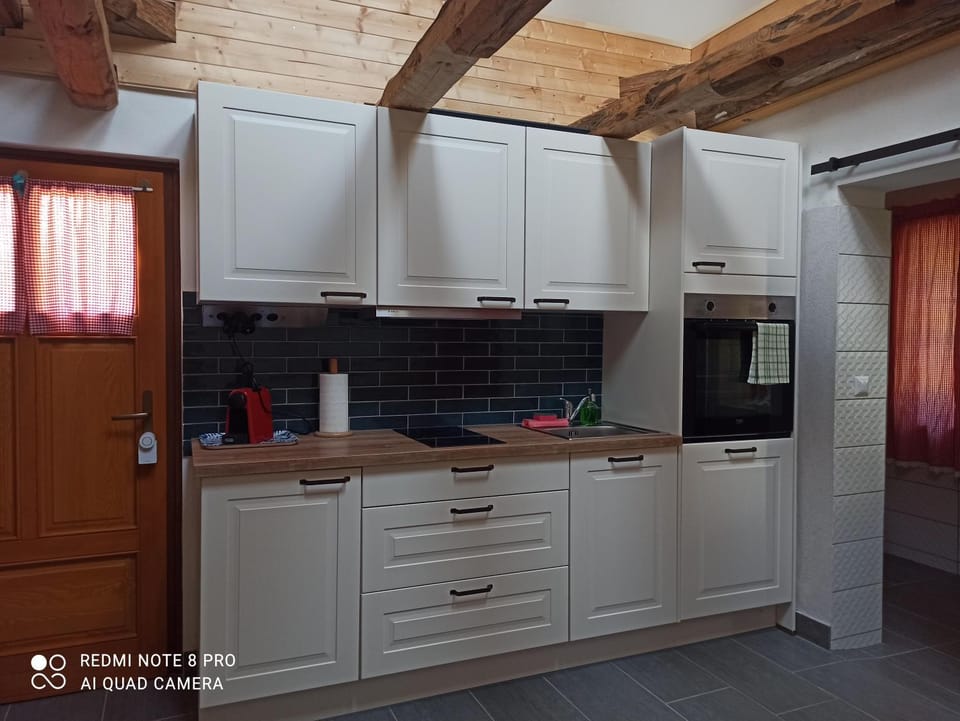 Kitchen or kitchenette, dishwasher, stove