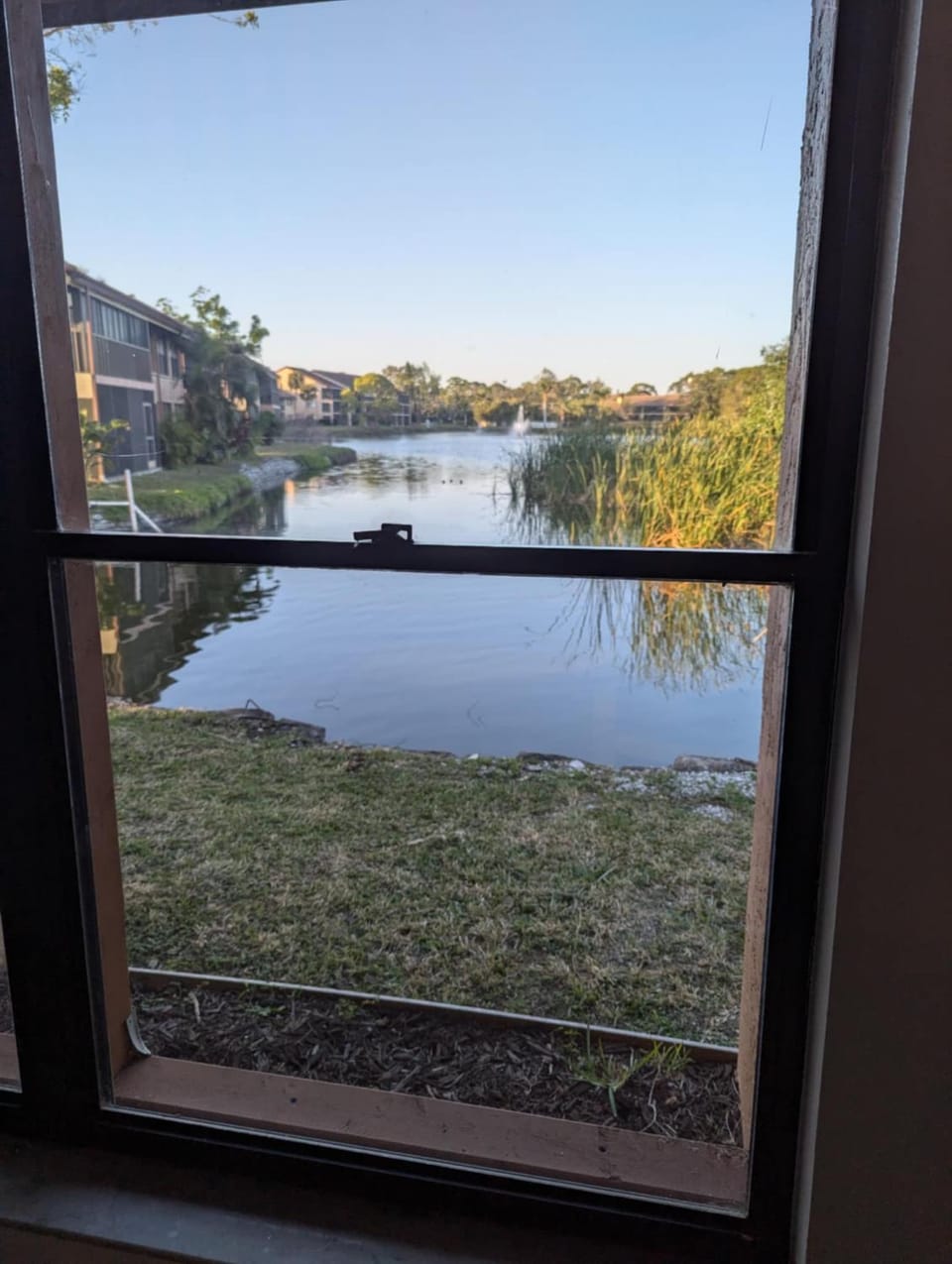 Seaside dream mins from Siesta with its number 1 beaches! Apartment in Gulf Gate Estates