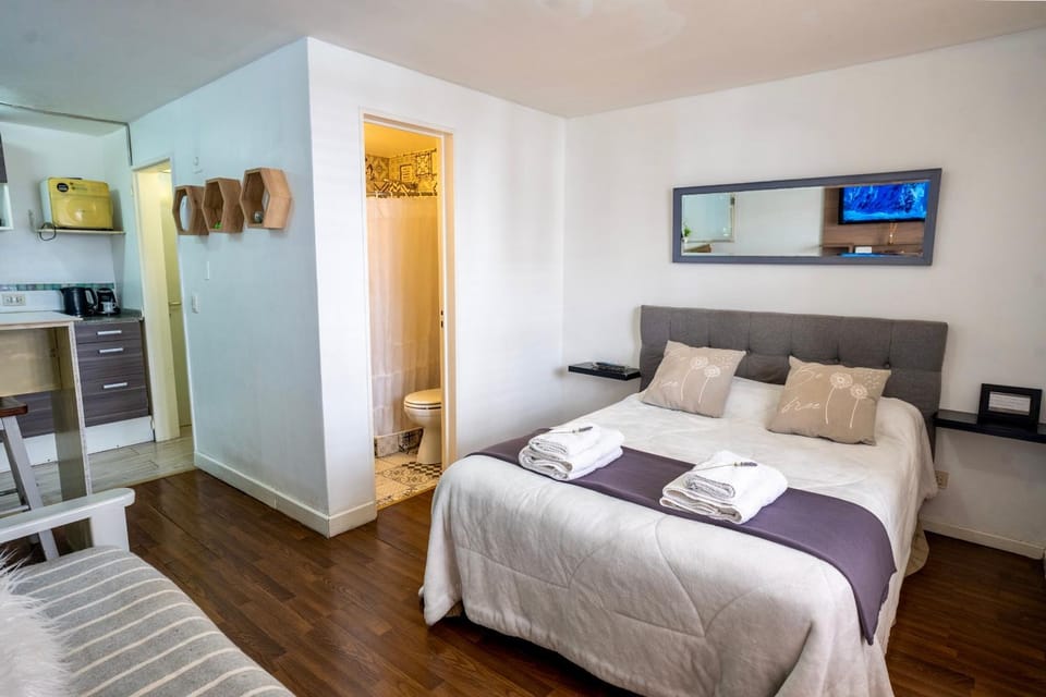 Bed, TV and multimedia, Kitchen or kitchenette, Photo of the whole room, Bedroom, towels, wardrobe