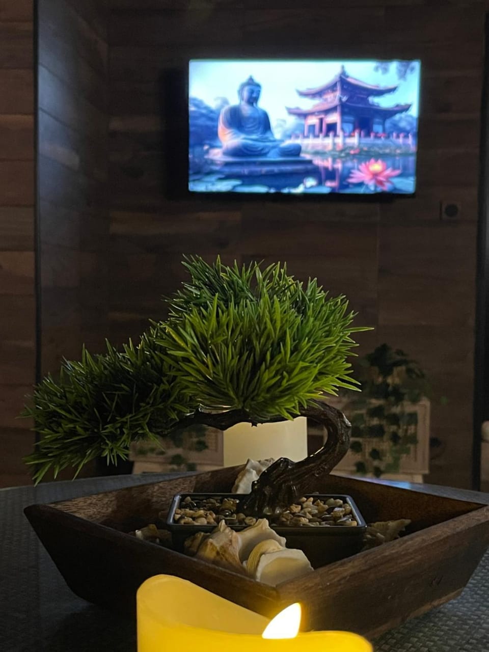 TV and multimedia, Evening entertainment