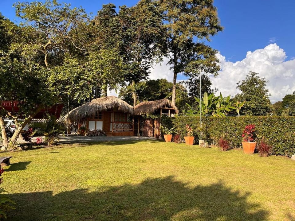 Garden view