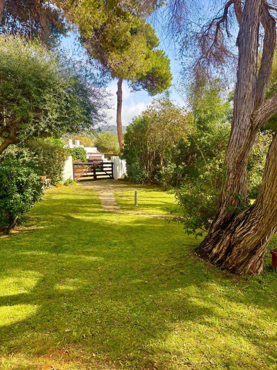 Natural landscape, Garden, Garden view