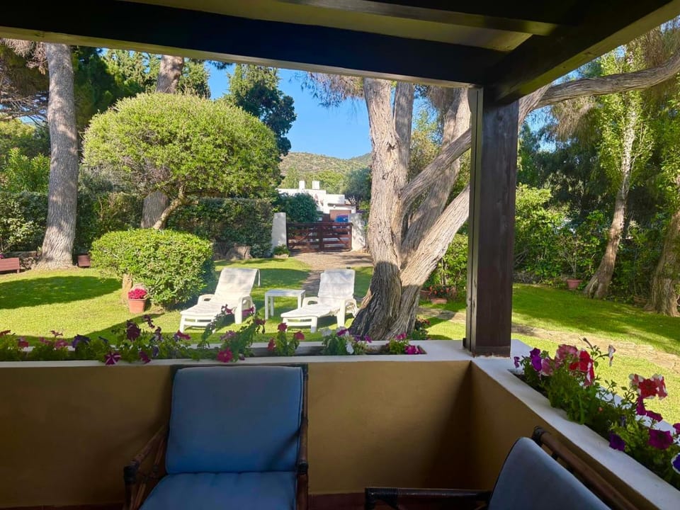 Patio, Garden, Living room, Seating area, Garden view