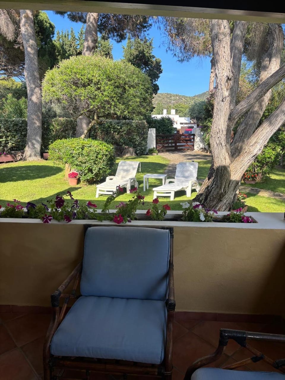 Patio, Garden, Garden view