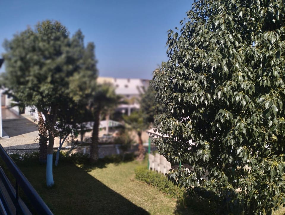 Patio, Balcony/Terrace
