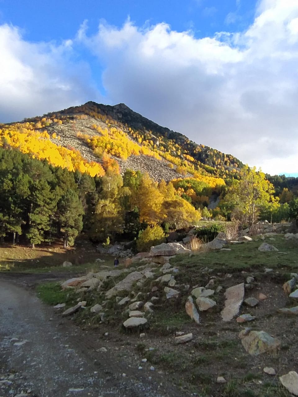 Natural landscape