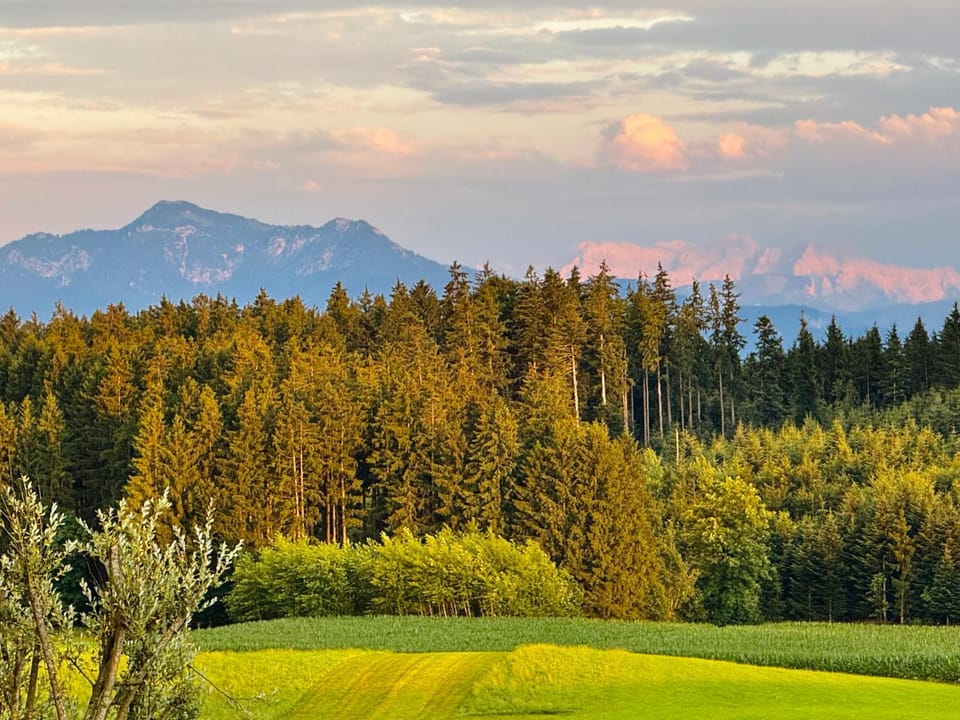 Mountain view