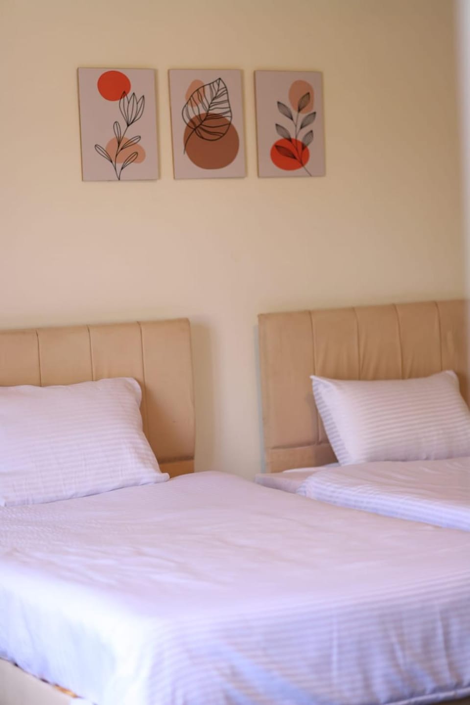 Spacious room in the heart of Cairo Bed and Breakfast in Cairo