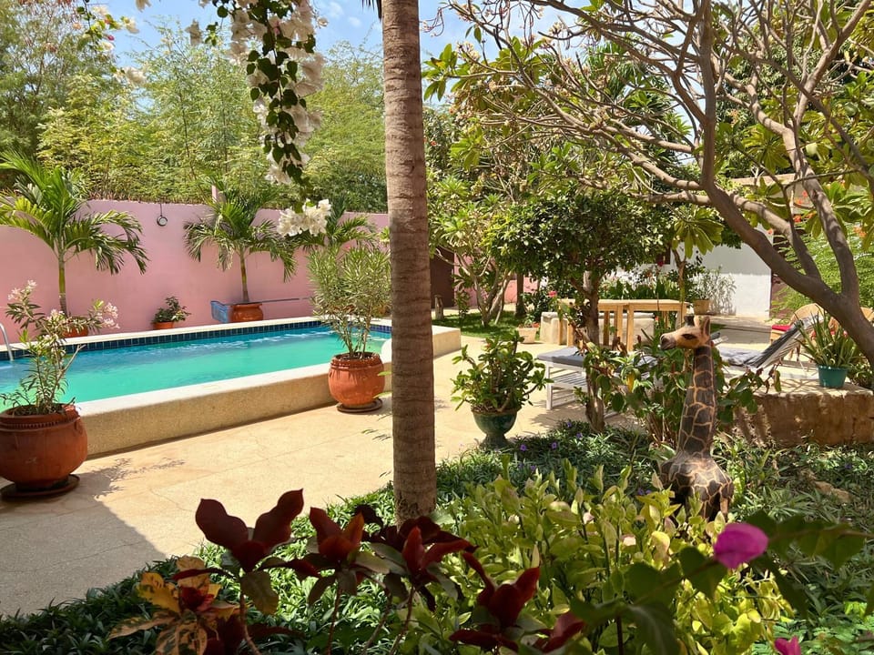 Garden, Garden, Garden view, Pool view, Swimming pool