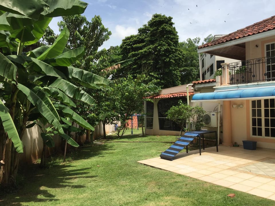 Patio, Garden, Garden view