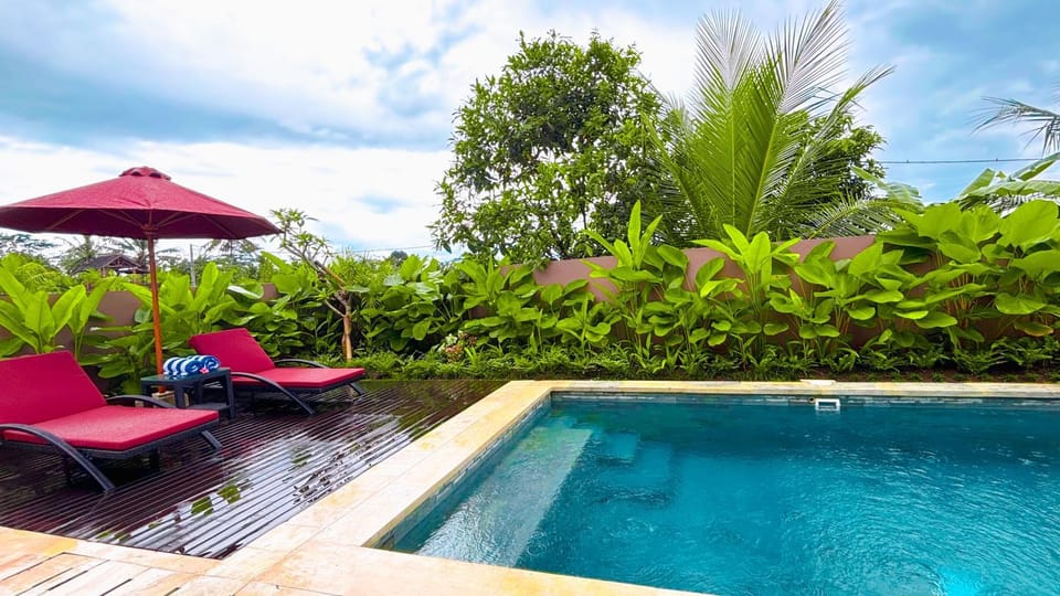 Garden, Swimming pool