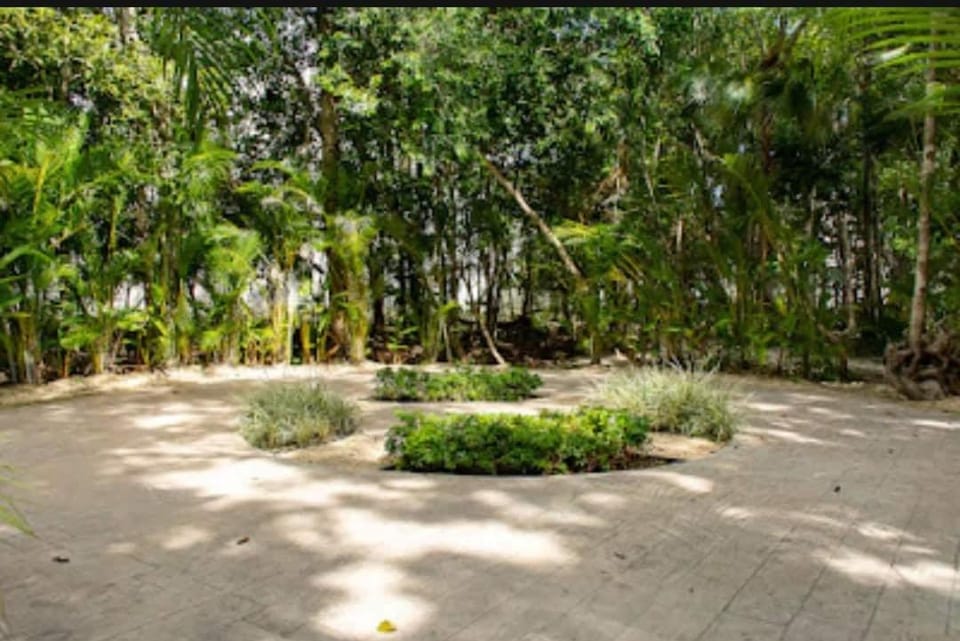 Selva escondida Apartment in State of Quintana Roo