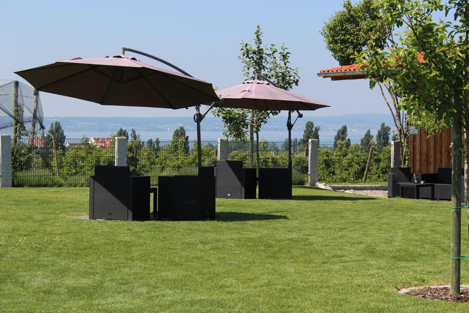 Day, Natural landscape, Garden, Garden view