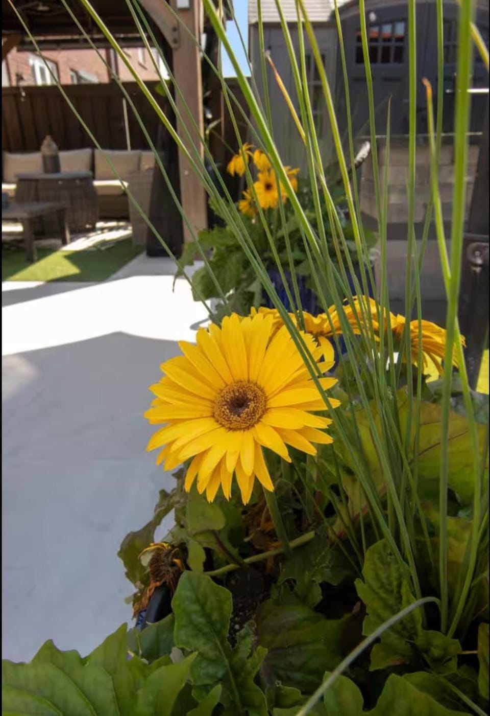 Comfortable & Cozy 2BR Hideaway Basement Appartment Apartment in Brampton