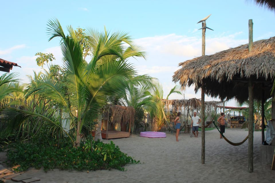 Natural landscape, Garden, Beach, Garden view
