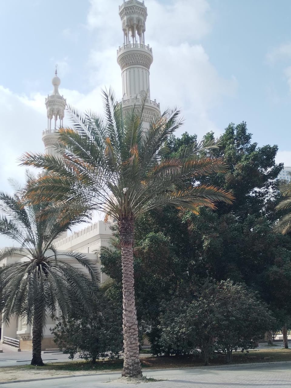 Muscat Tower Hostel in Al Sharjah