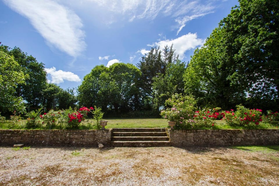 Spring, Day, Natural landscape, Garden, Garden view