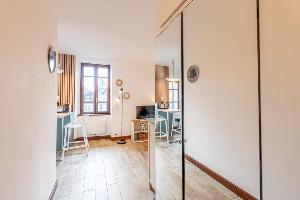 Le Bohème Apartment in Annecy