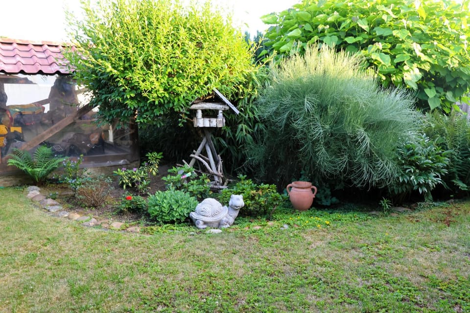 Spring, Garden view