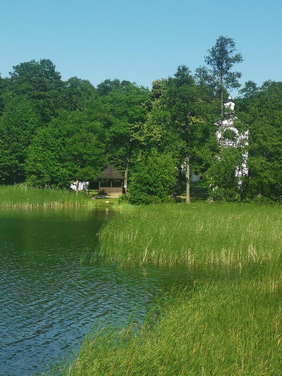 Natural landscape