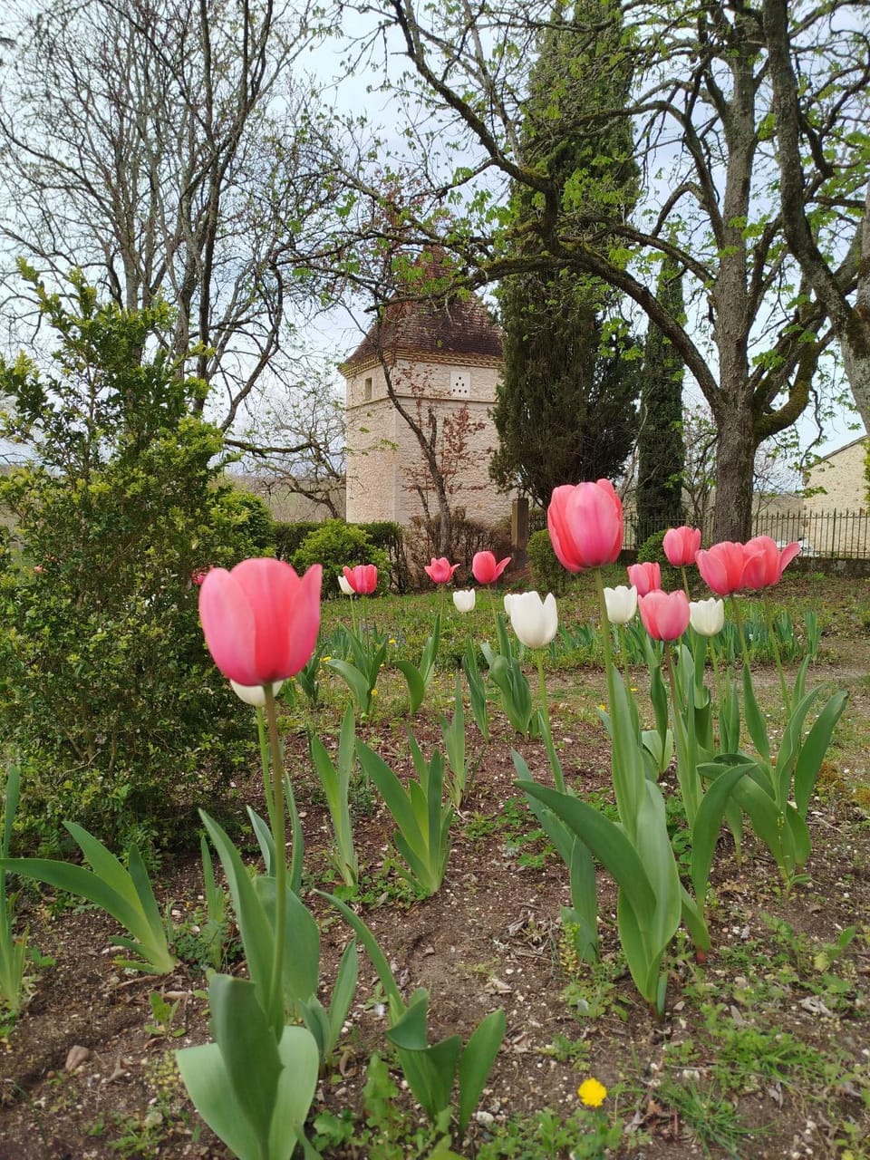Garden, Garden, Garden view