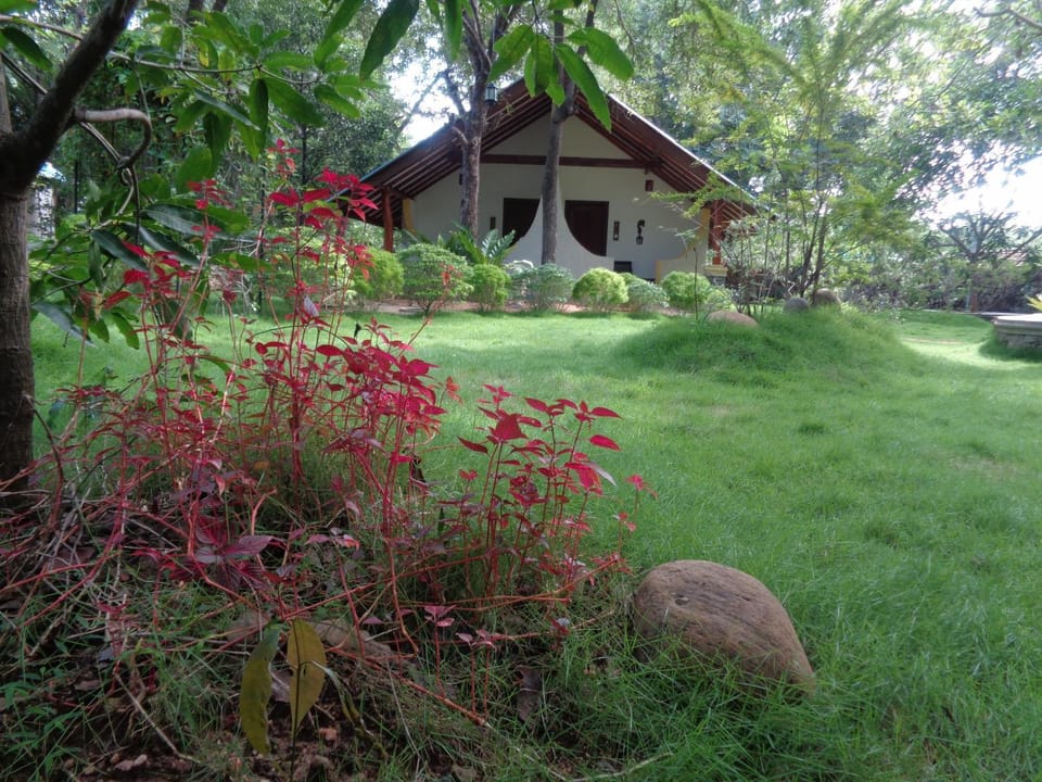 Area and facilities