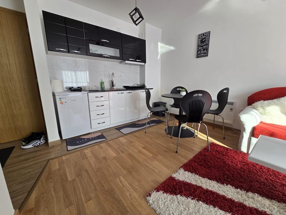 Apartman Nikolić Apartment in Serbia