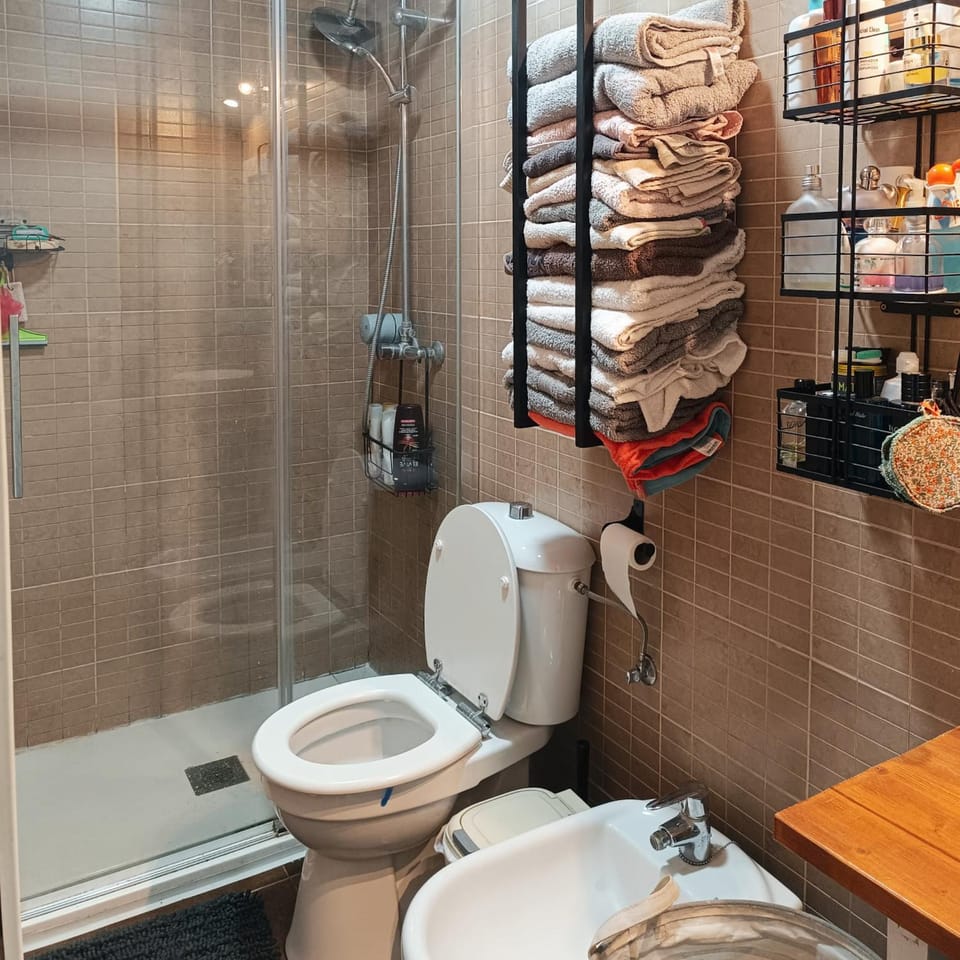 Bathroom, bidet, towels