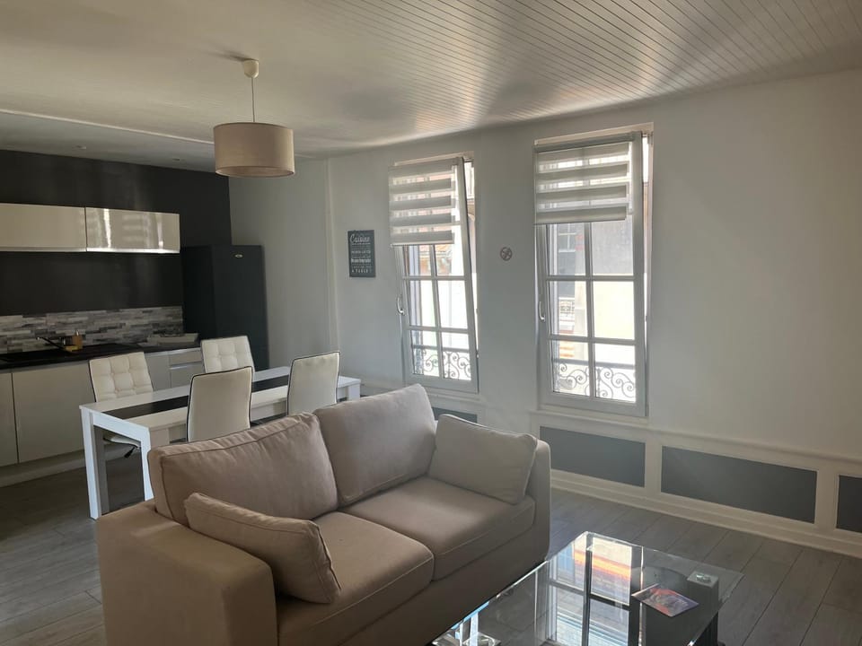 Hyper centre Brissonnet Apartment in Troyes