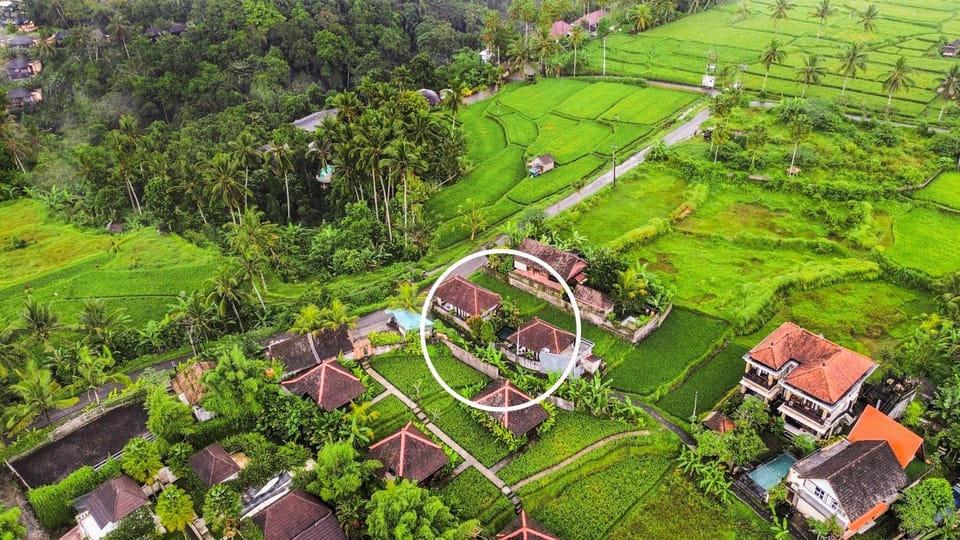 Natural landscape, Bird's eye view