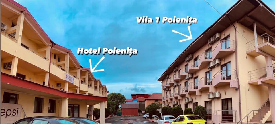 Vila Poienita Bed and Breakfast in Constanța County
