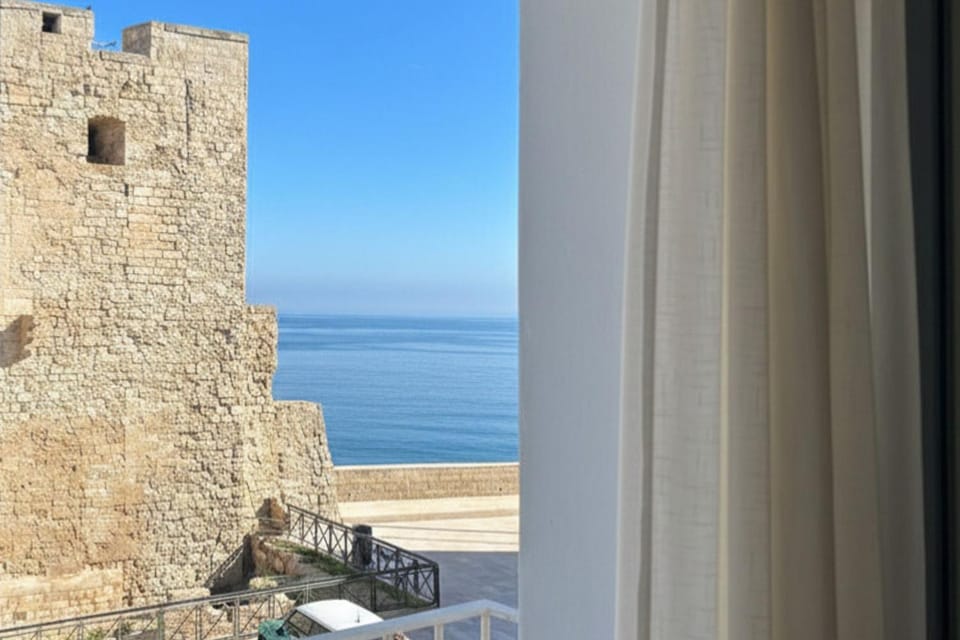 View (from property/room)