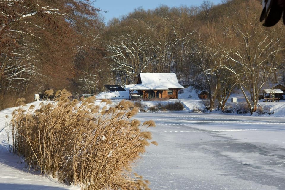 Property building, Natural landscape