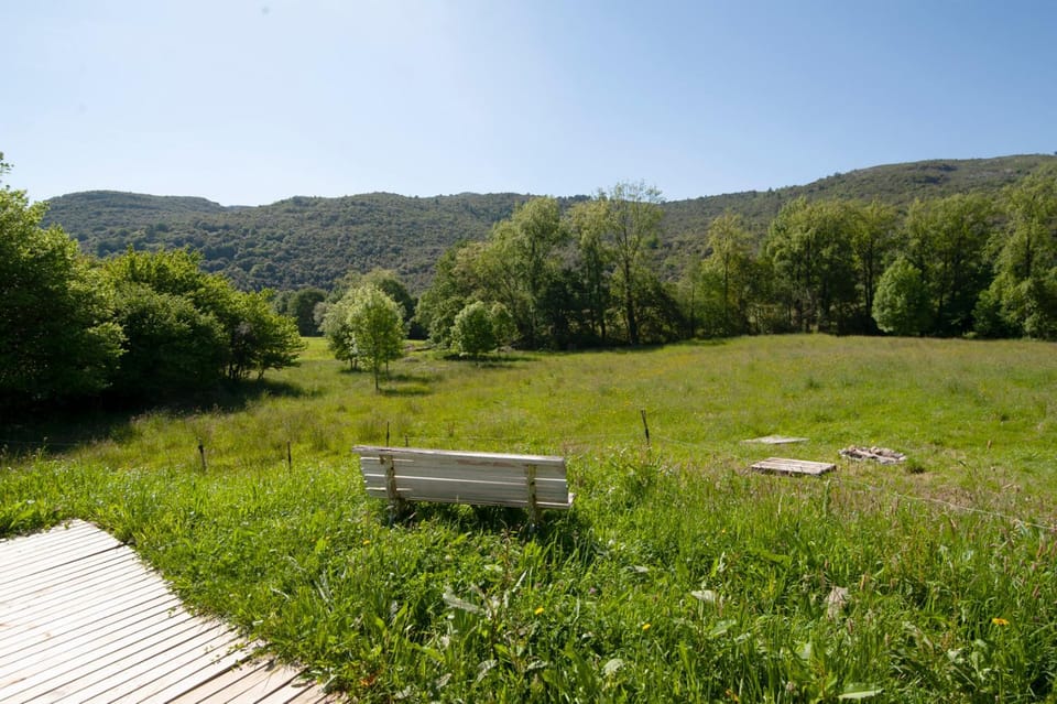 Natural landscape, View (from property/room)