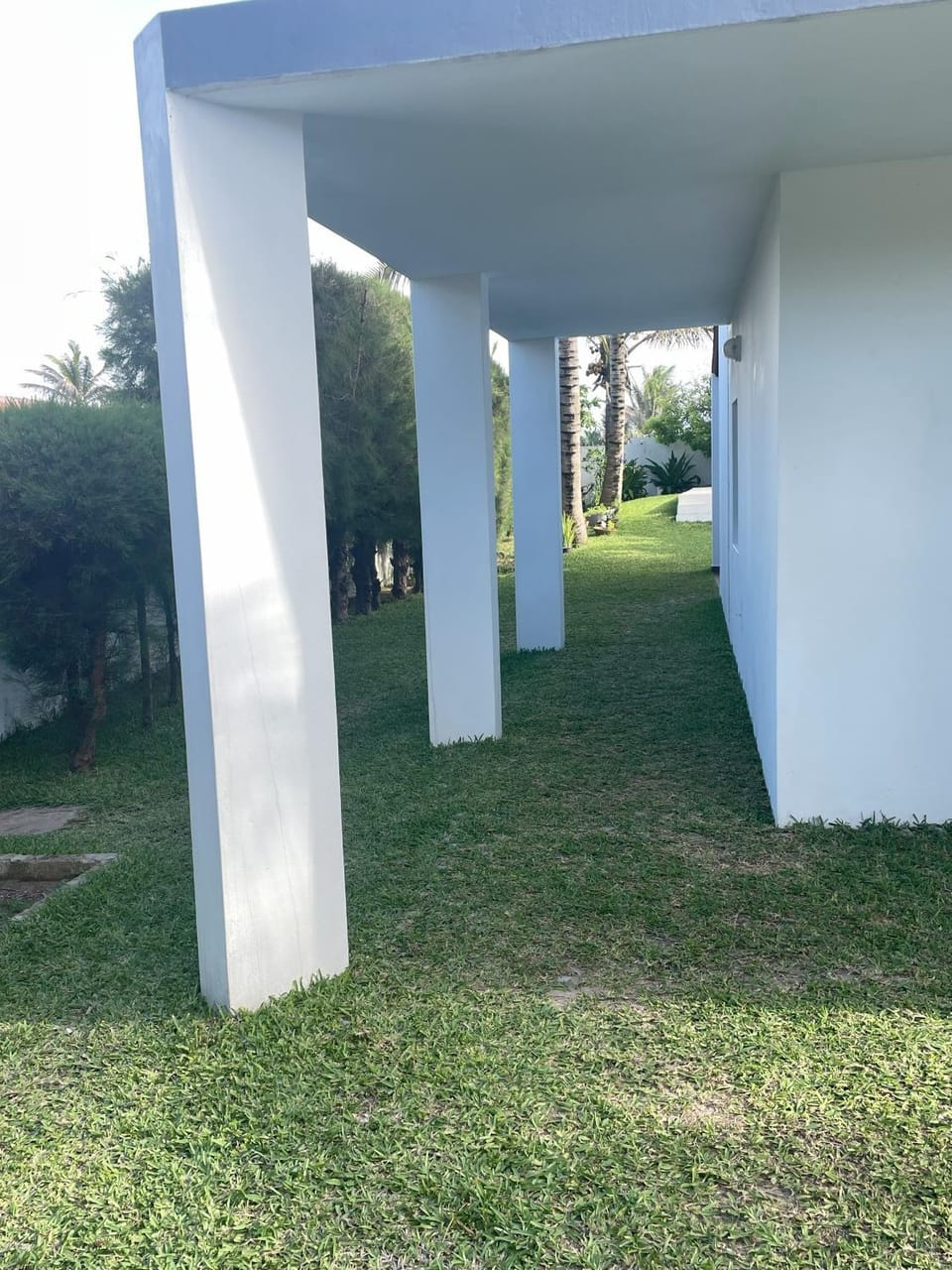 Property building, Garden view