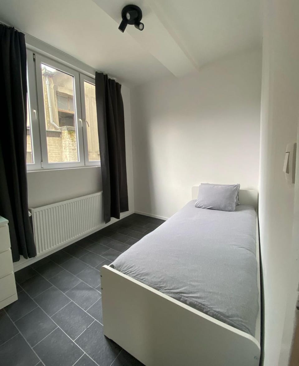 Grand appartement deux chambres Apartment in Brussels